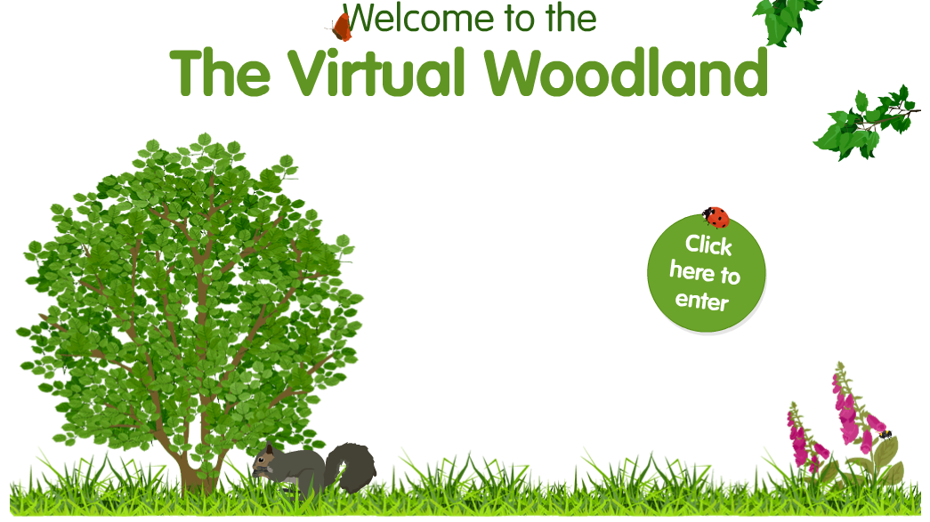 The virtual woodland Content ClassConnect