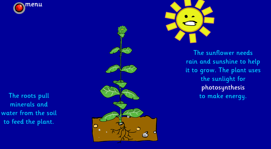 Plants, animals and humans Content ClassConnect