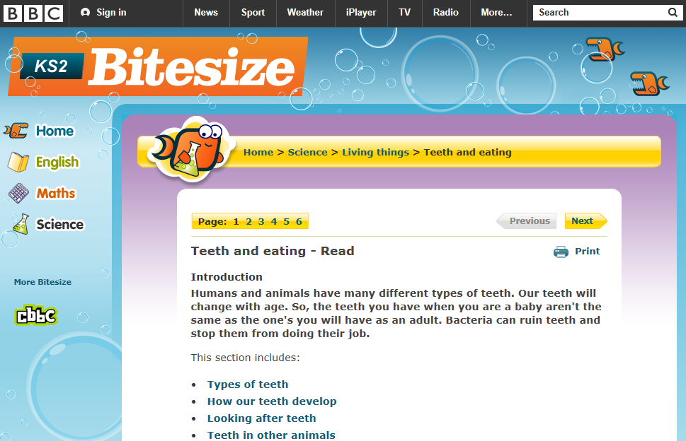 bitesize science teeth and eating