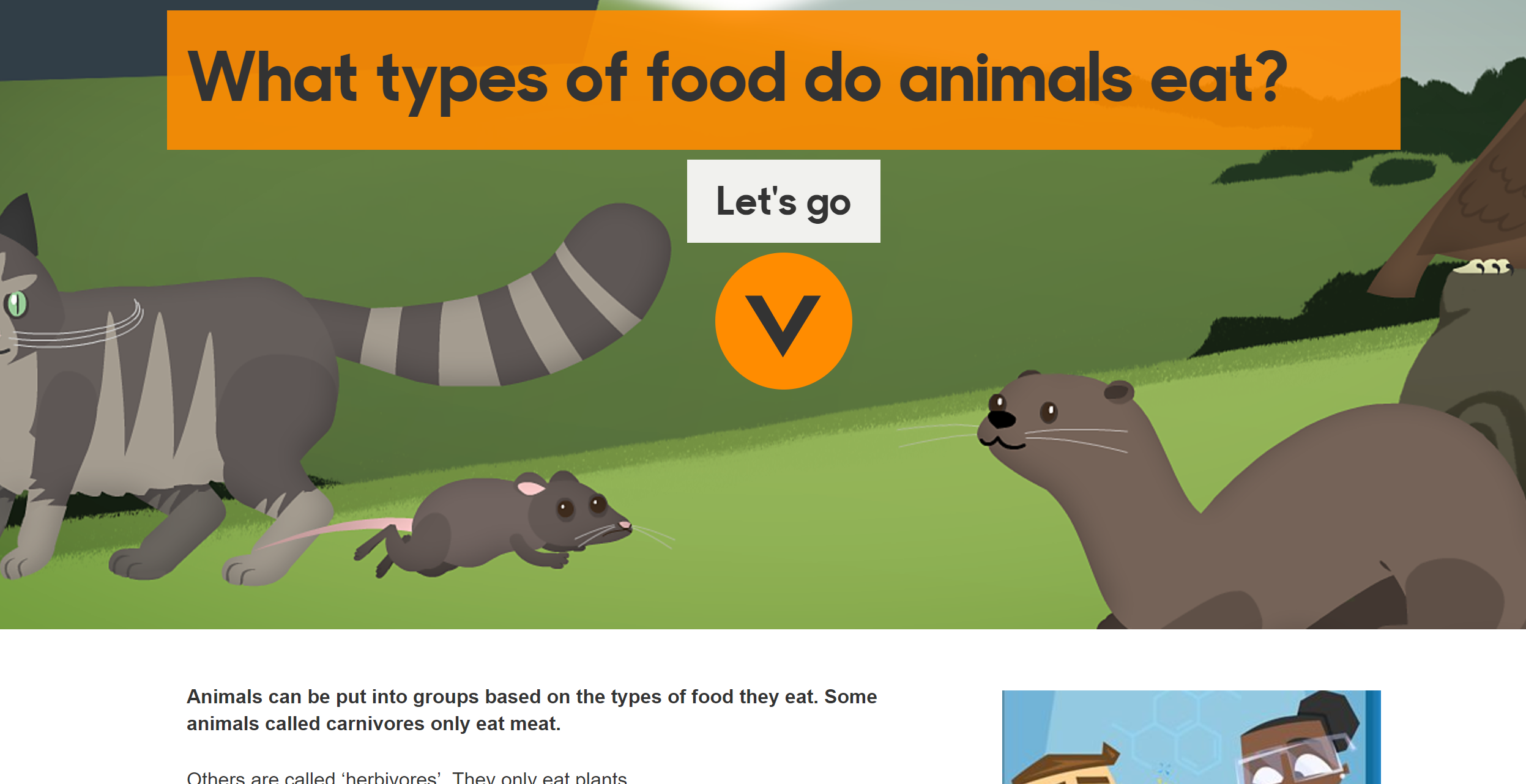 What do animals eat? Content ClassConnect