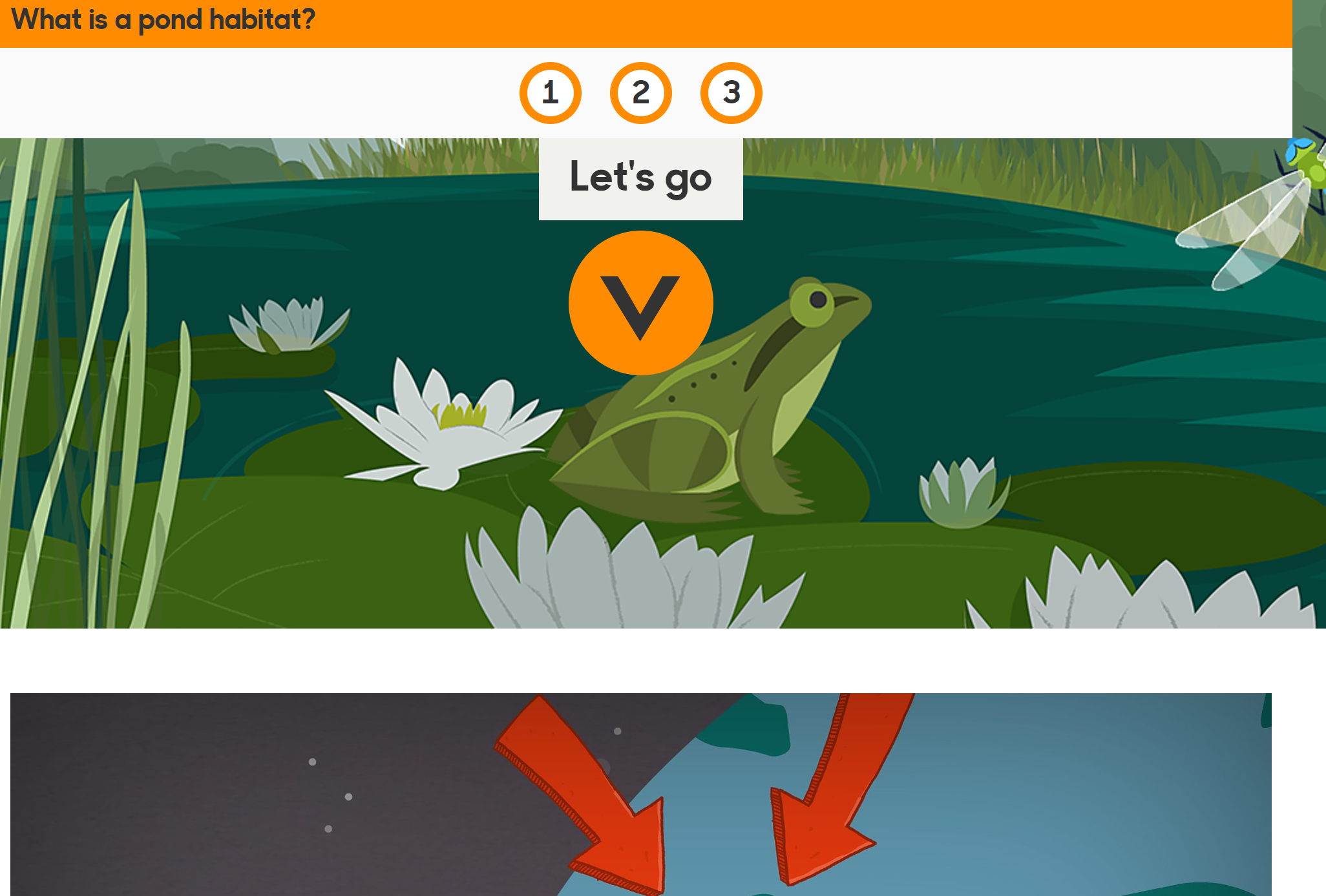 BBC Pond habitats Content ClassConnect