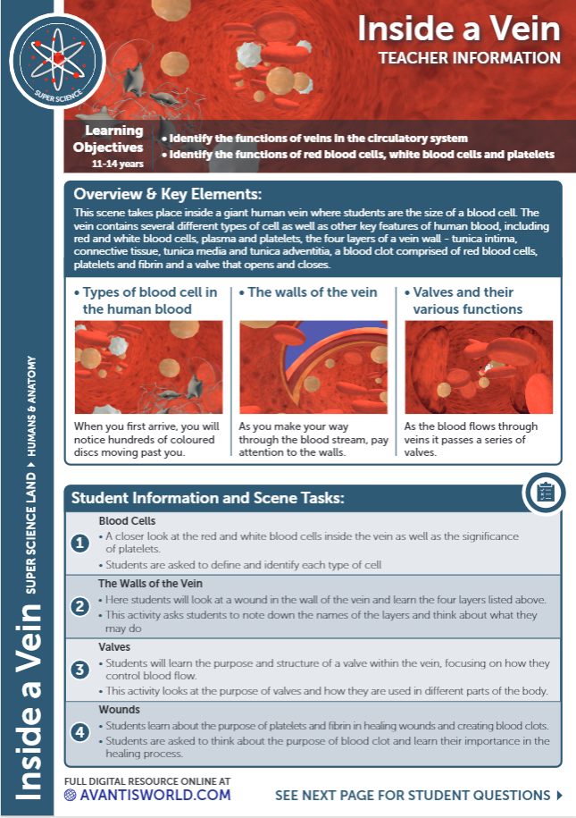 Teacher Notes and Quiz