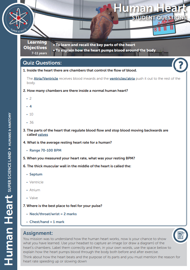 Answers