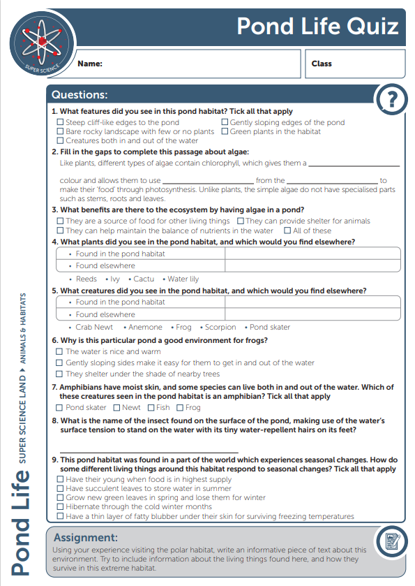 Quiz