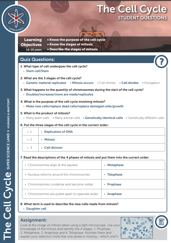 Answers