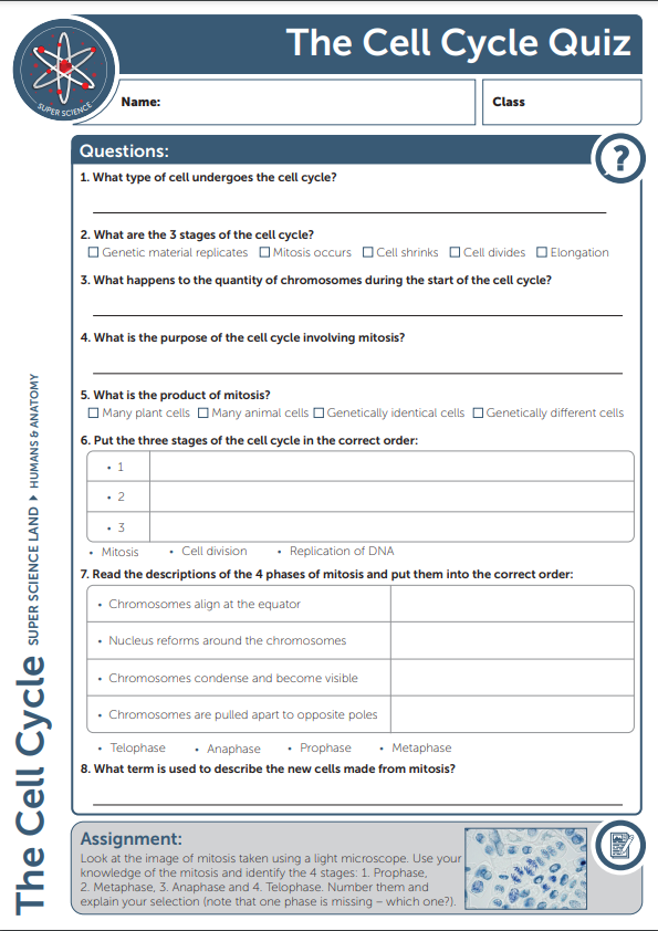 Quiz