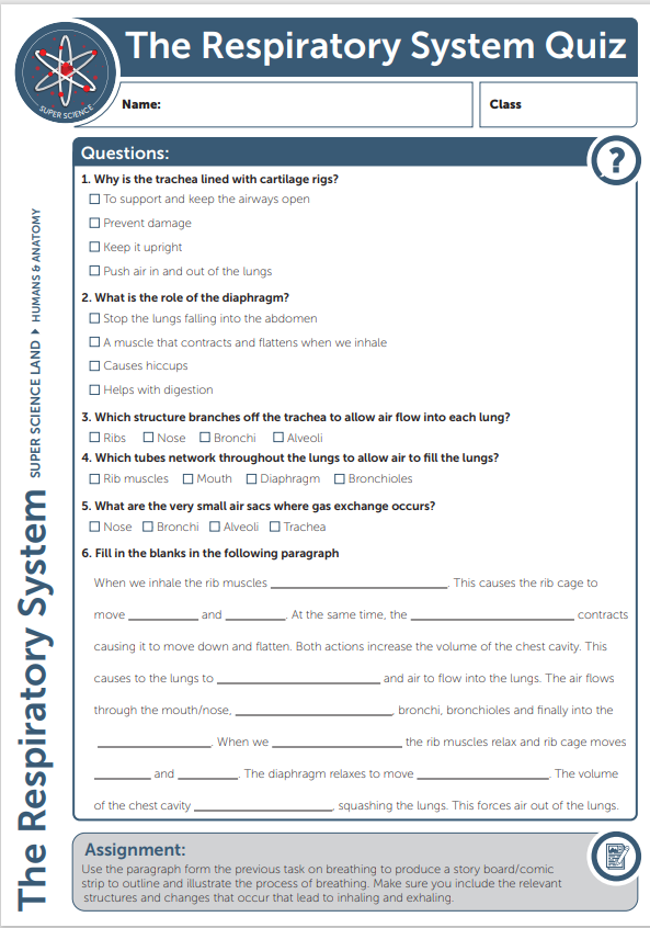 Quiz