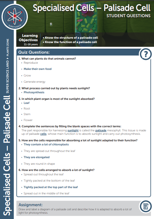 Answers