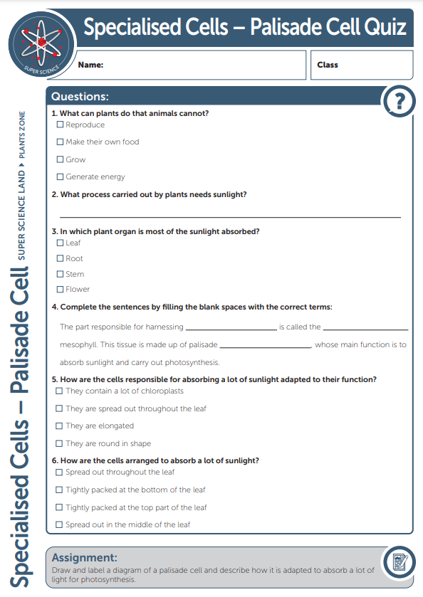 Quiz