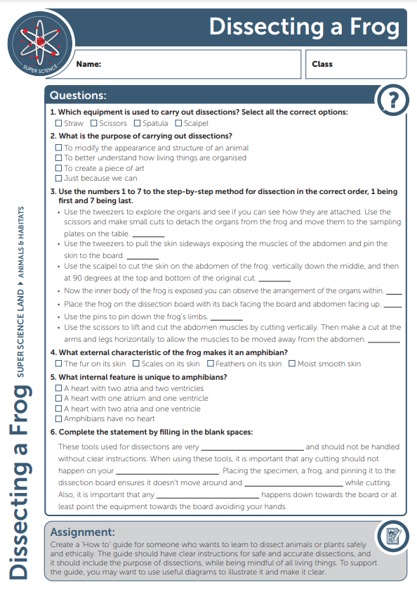 Quiz